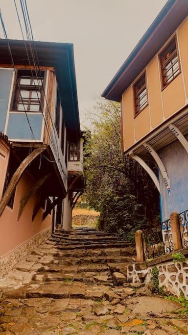 Elephant House Plovdiv Ngoại thất bức ảnh